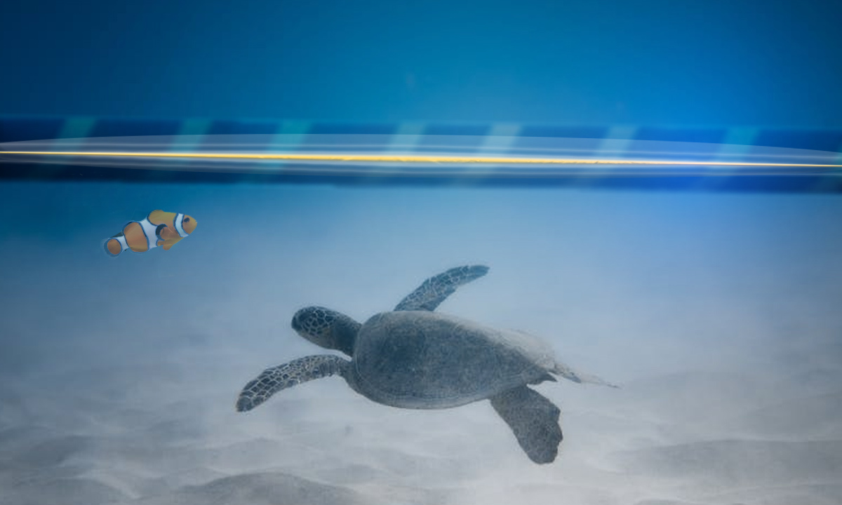O mundo de fibra ótica, os cabos submarinos que atravessam oceanos.